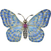 An Austro-hungarian Plique-a-jour Butterfly Brooch