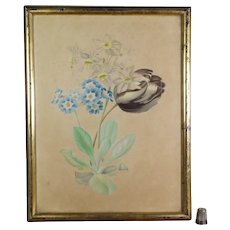 Gorgeous 19th Century French Watercolor Theorem Painting, Tulips, Auricula Circa 1830
