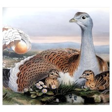 John Gould (British, 1804 - 1881) - The Birds of Great Britain - Hand Finished Color Lithograph "The Great Bustard" - published 1862 - 1873