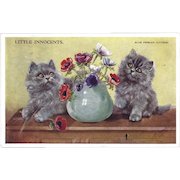 Mabel Gear Vintage Postcard of Two Blue Persian Kittens - Little Innocents