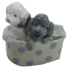 Nao Pair of Poodle Pups in Bathtub