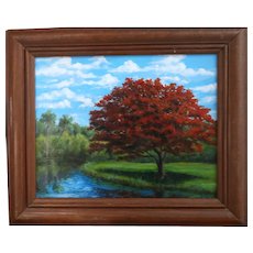 *  SPECIAL SALE  *  Excellent Original Signed Oil Painting By Up and Coming Contemporary Artist, Carolann Knapp,  "Poinciana Reflections"