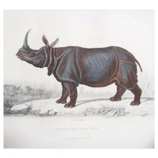 *SPECIAL SALE* Georges Louis Leclerc, Comte de Buffon (French 1707 - 1788) - "The Rhinoceros" - Originally hand-colored Engraving - Published 1820s - 1830s.